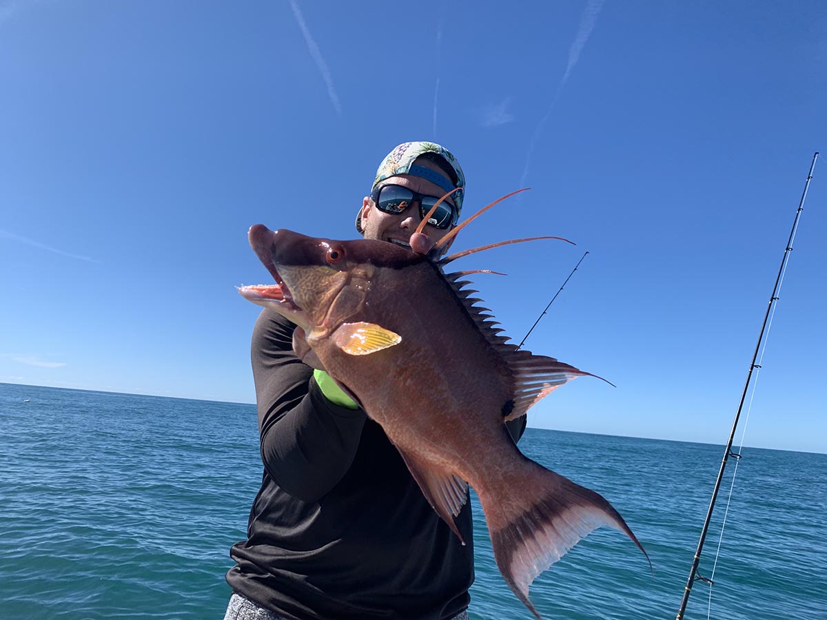 a picture of Every Popular Fish You Can Catch Around Anna Maria Island with Captain Nate