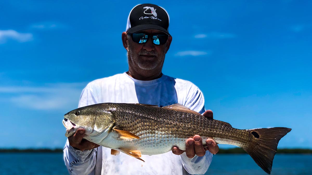 an angler with a redfish caught on a guided sarsaota fishing trip