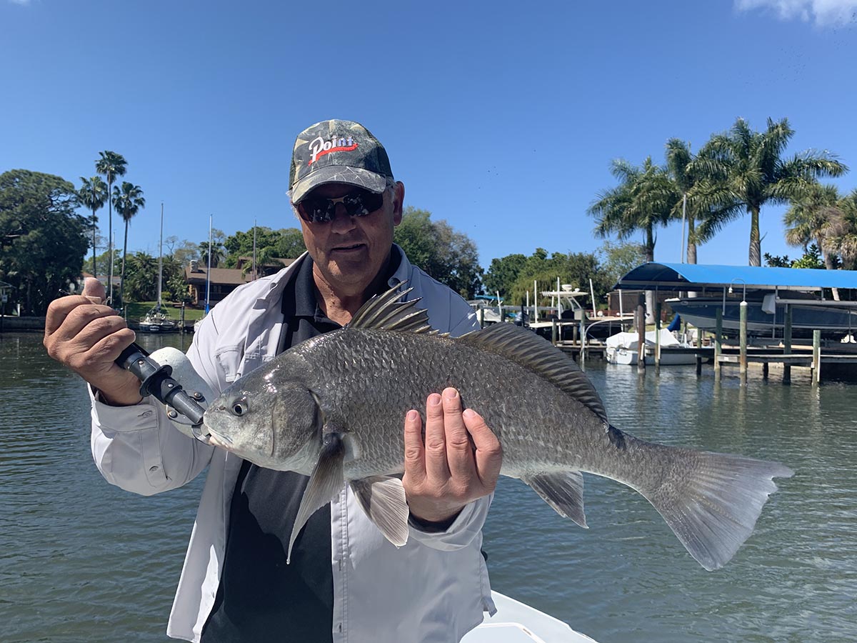 a picture of Every Popular Fish You Can Catch Around Anna Maria Island with Captain Nate