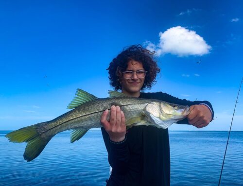 941 Area Fishing Report: May 2023 (AMI, Bradenton, Holmes Beach)