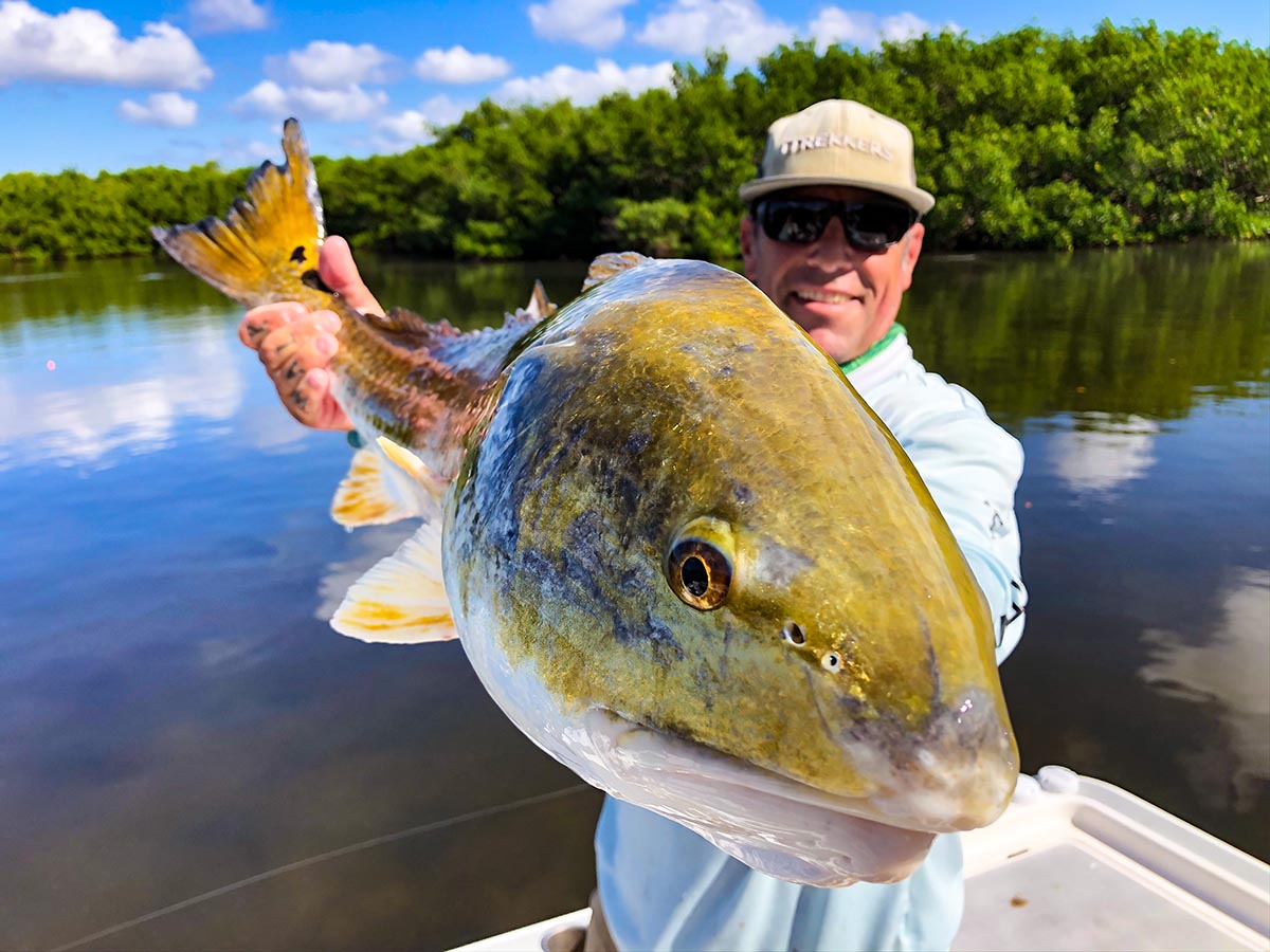 a picture of a fisherman holding a large redfish caught out of Bradenton in Tampa Bay