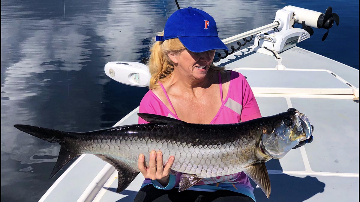 a picture of Anna Maria Island August Fishing with Captain Nate