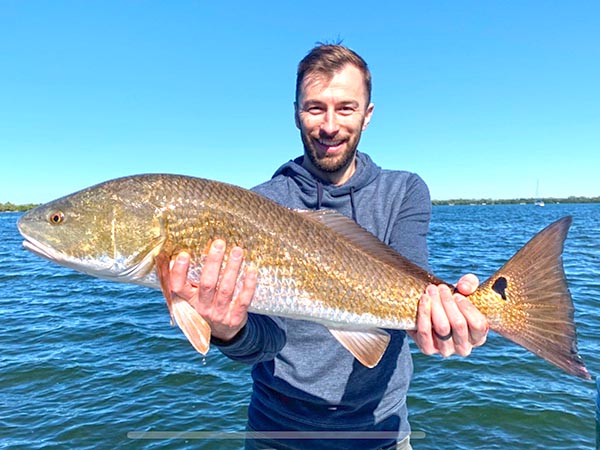 a picture of a fisherman holding a Tampa Bay redfish caught while on a Sarasota based fishing charter with Capt. Nate.