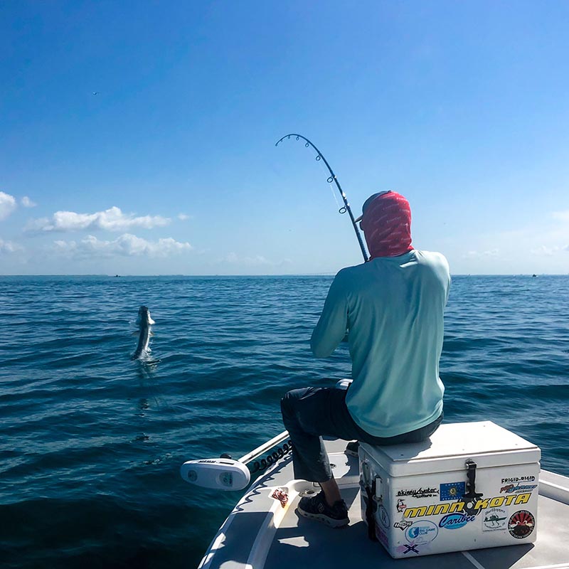 a picture of a fisherman battling a large tarpon onboard a charter with Capt. Nate.