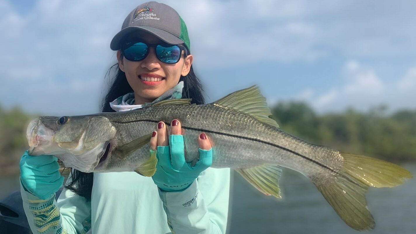 a picture of Targeting Snook In Bradenton with Captain Nate