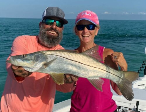 Planning An Anna Maria Island Summer Fishing Vacation