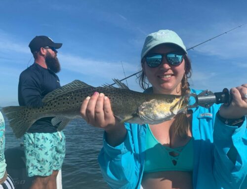 AMI Fishing: 10 Species to Target off Bradenton & Holmes Beach
