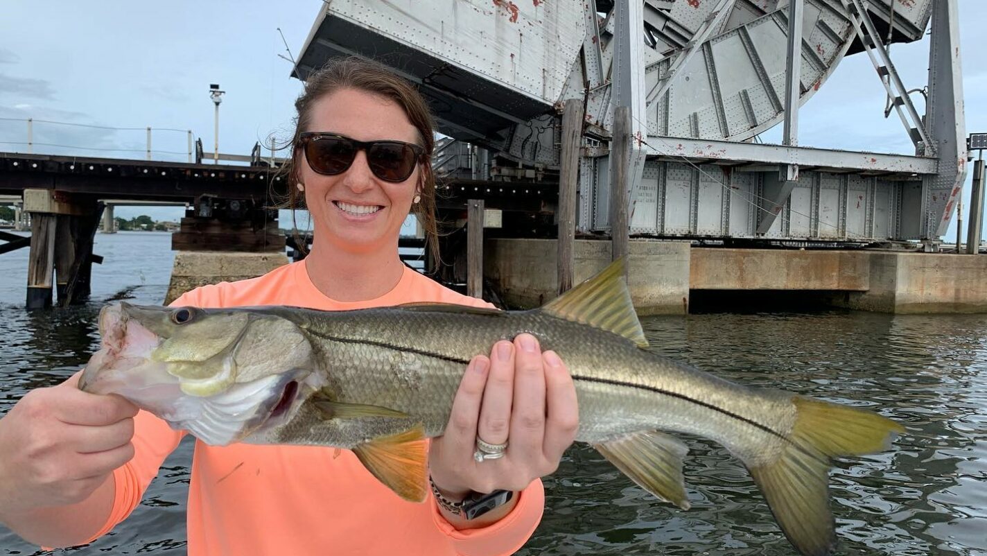 a picture of Targeting Snook In Bradenton with Captain Nate