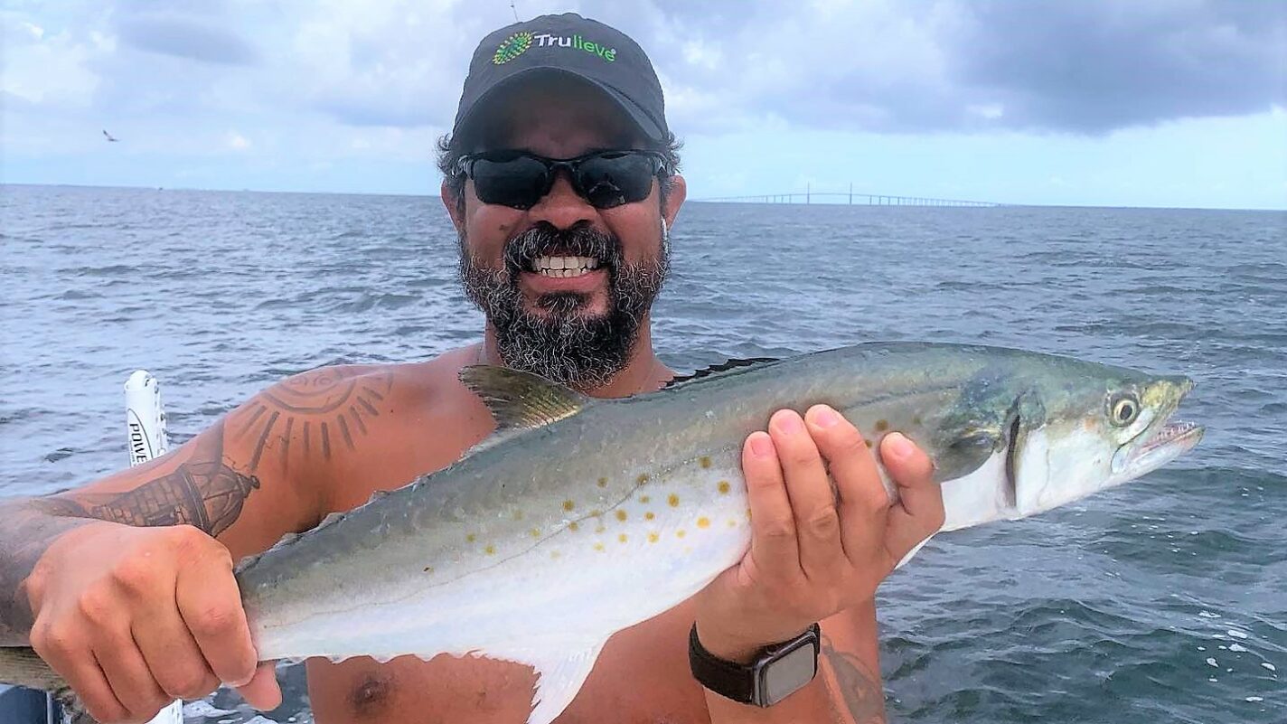 a picture of Every Popular Fish You Can Catch Around Anna Maria Island with Captain Nate