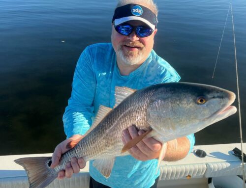 Catch the Big One on Anna Maria Island Fishing Charters
