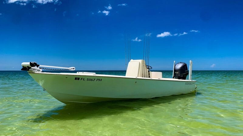 a picture of Guide: Anna Maria Fishing Charters with Captain Nate