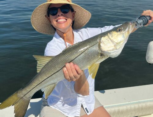 What Fishing Looks Like After Summer in Anna Maria Island