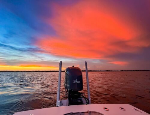 Different Ways to Fish Inshore at Anna Maria Island