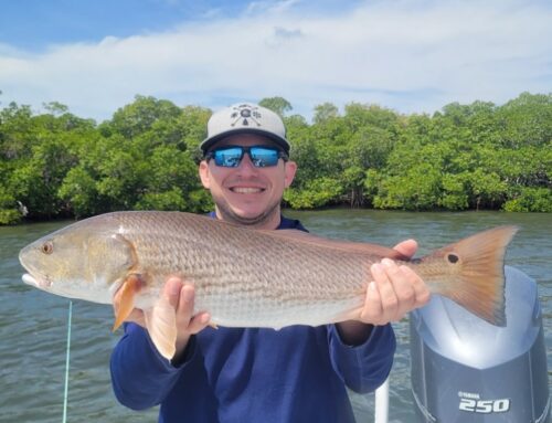 Summer Inshore Charter Fishing Options with Captain Nate
