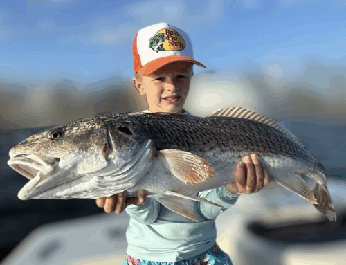 Anna Maria Island Fishing Report – Fall Cold Fronts Bring Hot Action