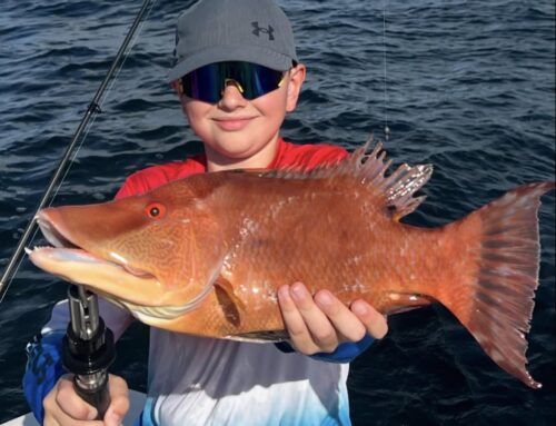 Mangrove Snapper, Grouper & Hogfish Are Biting