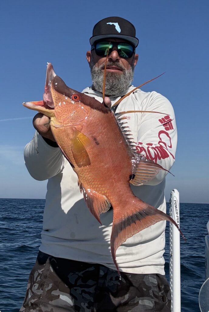 a picture of Anna Maria Island Nearshore Fishing Report – Snapper Bite Fired Up with Captain Nate
