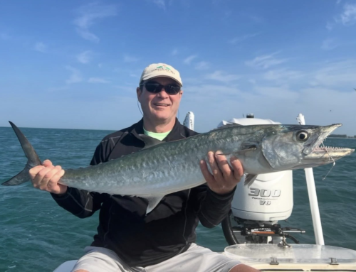 Anna Maria Island Fishing Report