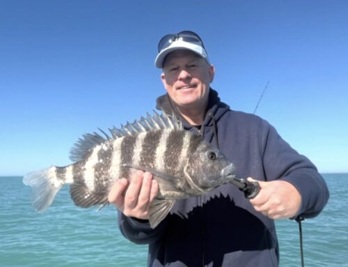 Anna Maria Island Fishing Report Update
