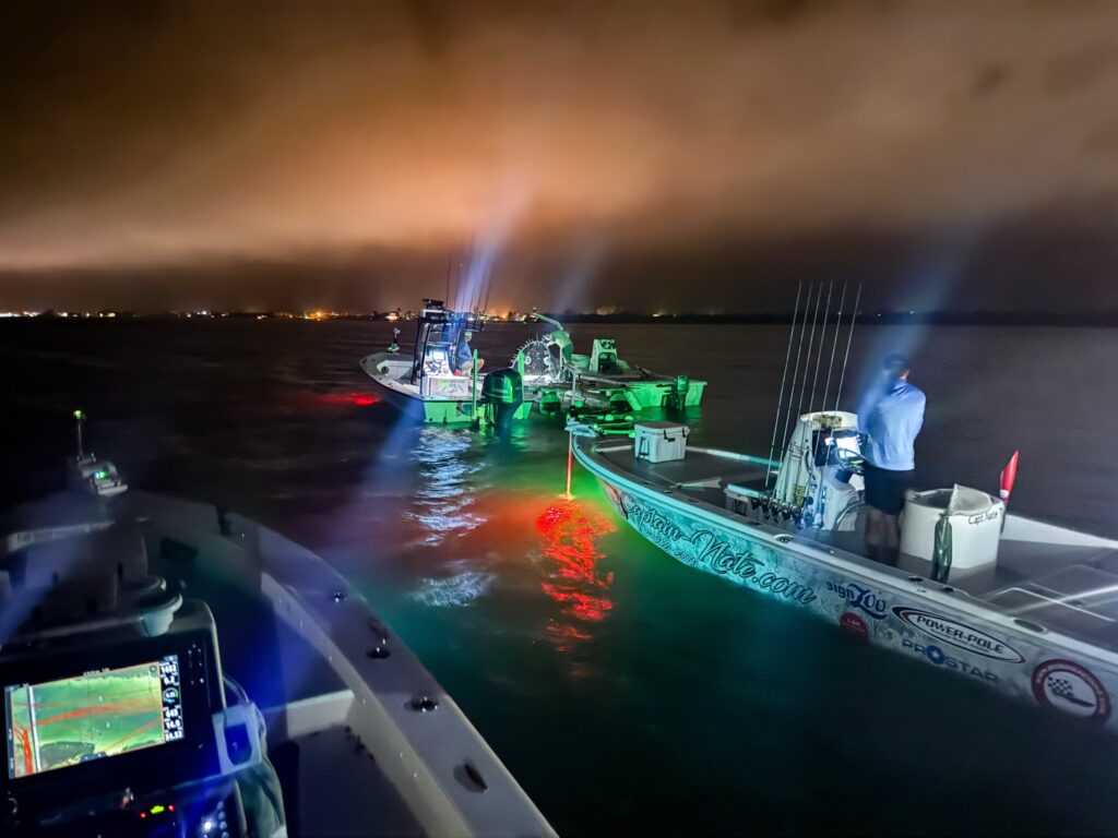 a picture of April Fishing on Anna Maria Island with Captain Nate