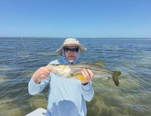 May Fishing on Anna Maria Island