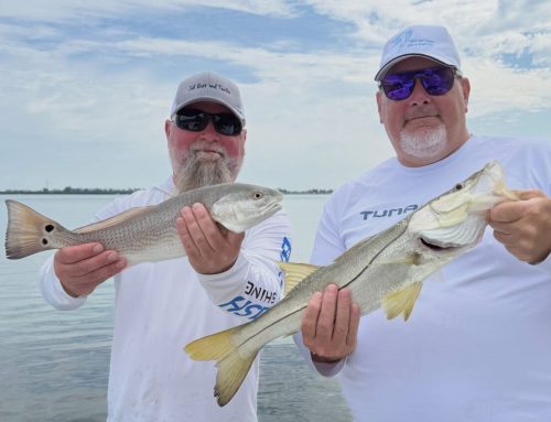 June Fishing on Anna Maria Island