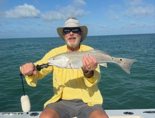 July Fishing on Anna Maria Island