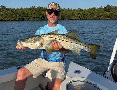 August Fishing on Anna Maria Island