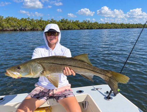 October Fishing on Anna Maria Island